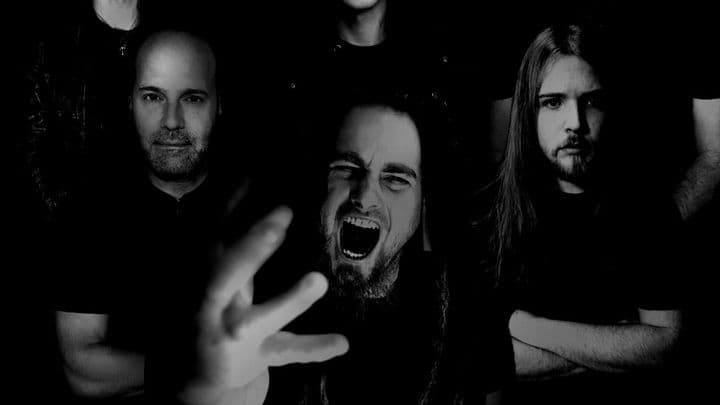 Contrarian band