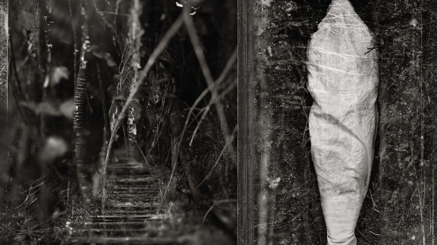 Estuary by Wolves In The Throne Room