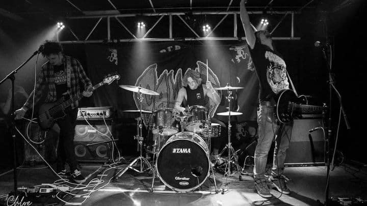 Calus Band